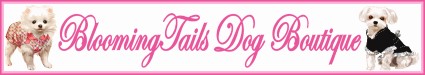 Email Us!