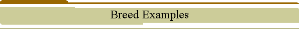 Breed Examples