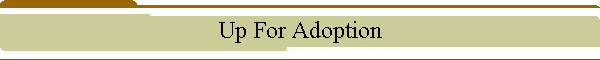Up For Adoption