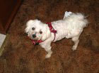wally2005.jpg (4904 bytes)