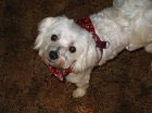 wally2005b.jpg (4528 bytes)